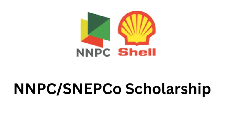 NNPC/SNEPCo National University Scholarship 2025
